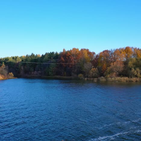 autumn forest and river from air