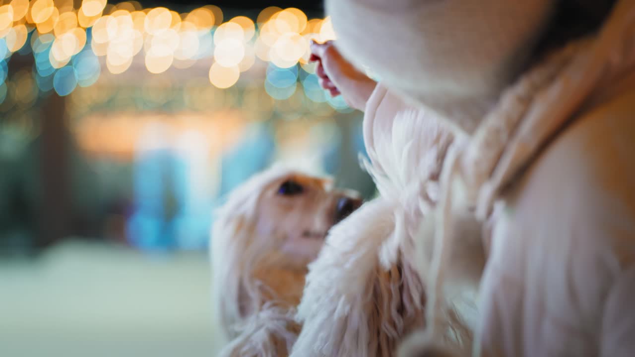 Dog being fed at a holiday gathering