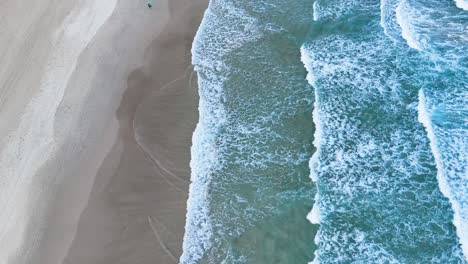 people swimming and walking along the sandy shore