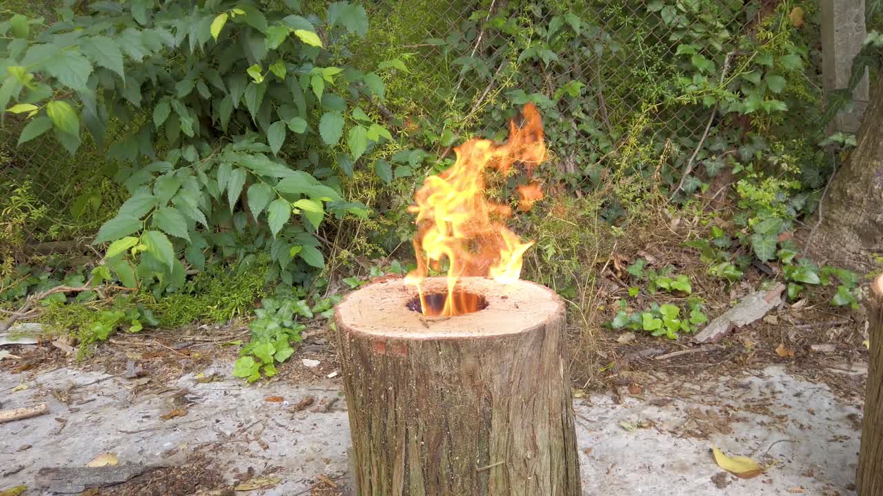 Open fire of Canadian candle, also known Swedish fire torch. Warmth in backyard, preparing for fire cooking. Natural heat source