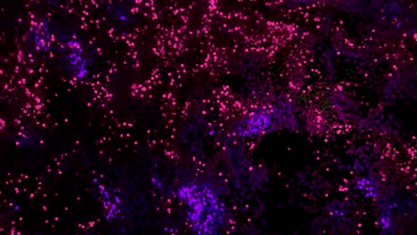 abstract glowing and flickering particles.