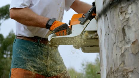 Lumberjack-cutting-tree-in-the-forest-4k