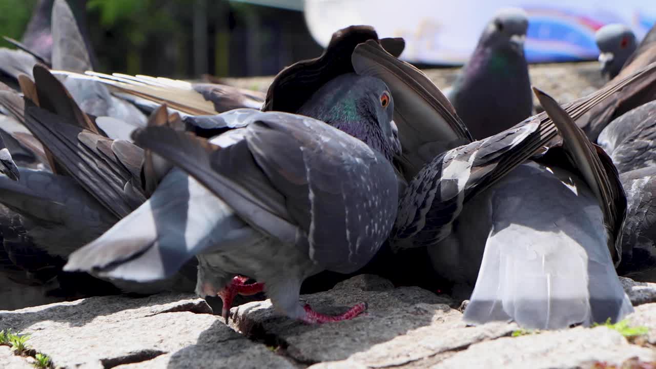 요코하마 최고의 전망