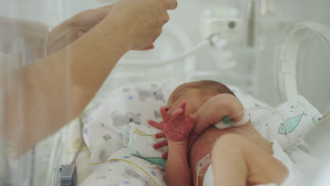 nurse caring for premature newborn in incubator
