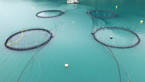 aerial footage farm salmon fishing in norway