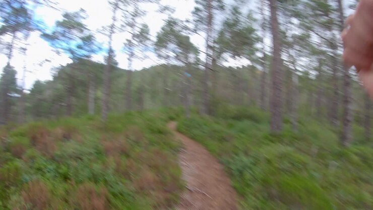 First person view running along path through woods - Hands Foreground