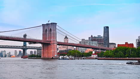 the manhattan and brooklyn bridge over the east river. low angle view. boat tour by modern new york, usa