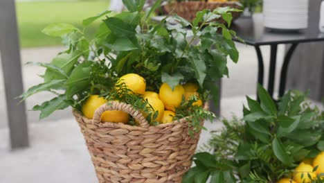 limones en una canasta con ramas