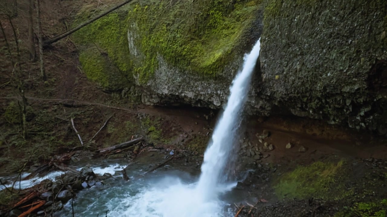 Ponytail Falls som fosser gjennom mosedekket basaltkløft ned i et skogstjern, tilt ned