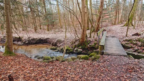 Der-Fluss-Im-Herbstwald-Und-Die-Sonne,-Die-Durch-Das-Laub-Scheint