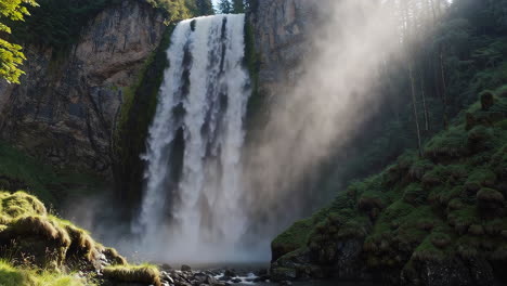 majestuosa cascada en un bosque exuberante