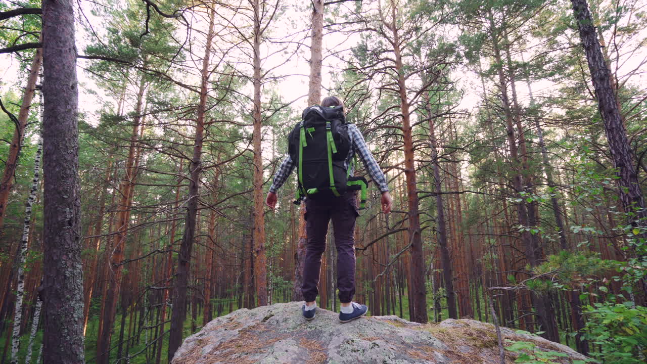 un excursionista en un bosque