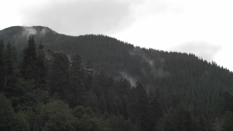 Stimmungsvoller-Nebel-Zieht-über-Einen-Pazifischen-Nordwestlichen-Bergrücken