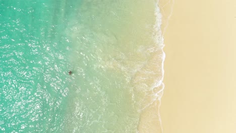 Aerial-view-of-woman-in-white-swimsuit-walking-from-beautiful-clear-turquoise-water-to-beach-in-Indonesia