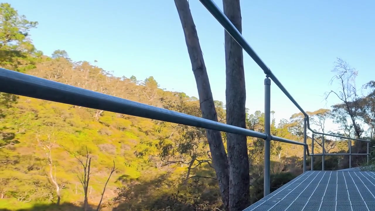Førstepersonsperspektiv, der går langs en metalgangbro gennem eukalyptusskov i Wentworth Falls, Australien