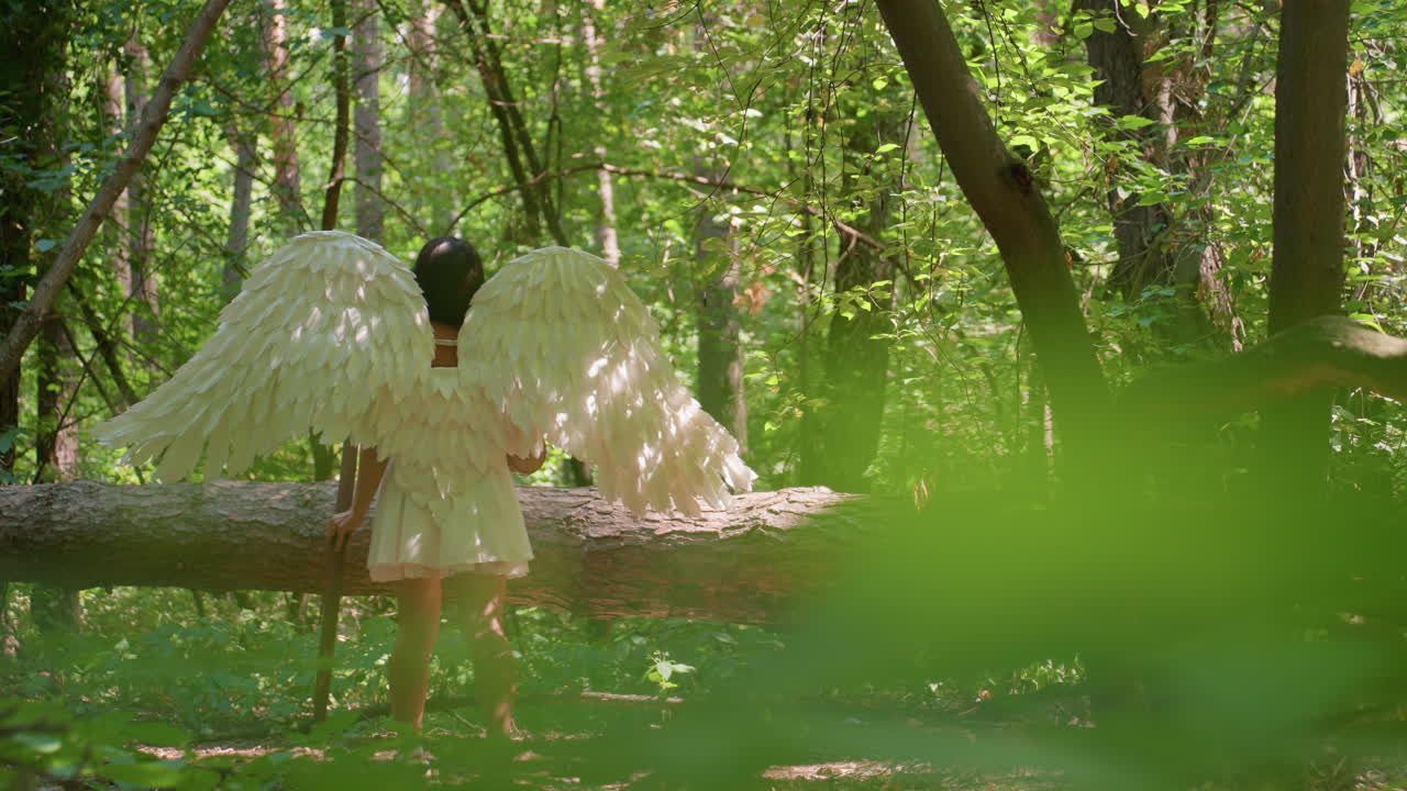 Fashion model dressed in divine white costume with angel wings stands near fallen tree, resting hand on trunk while holding local drum, surrounded by sunlight and forest greenery