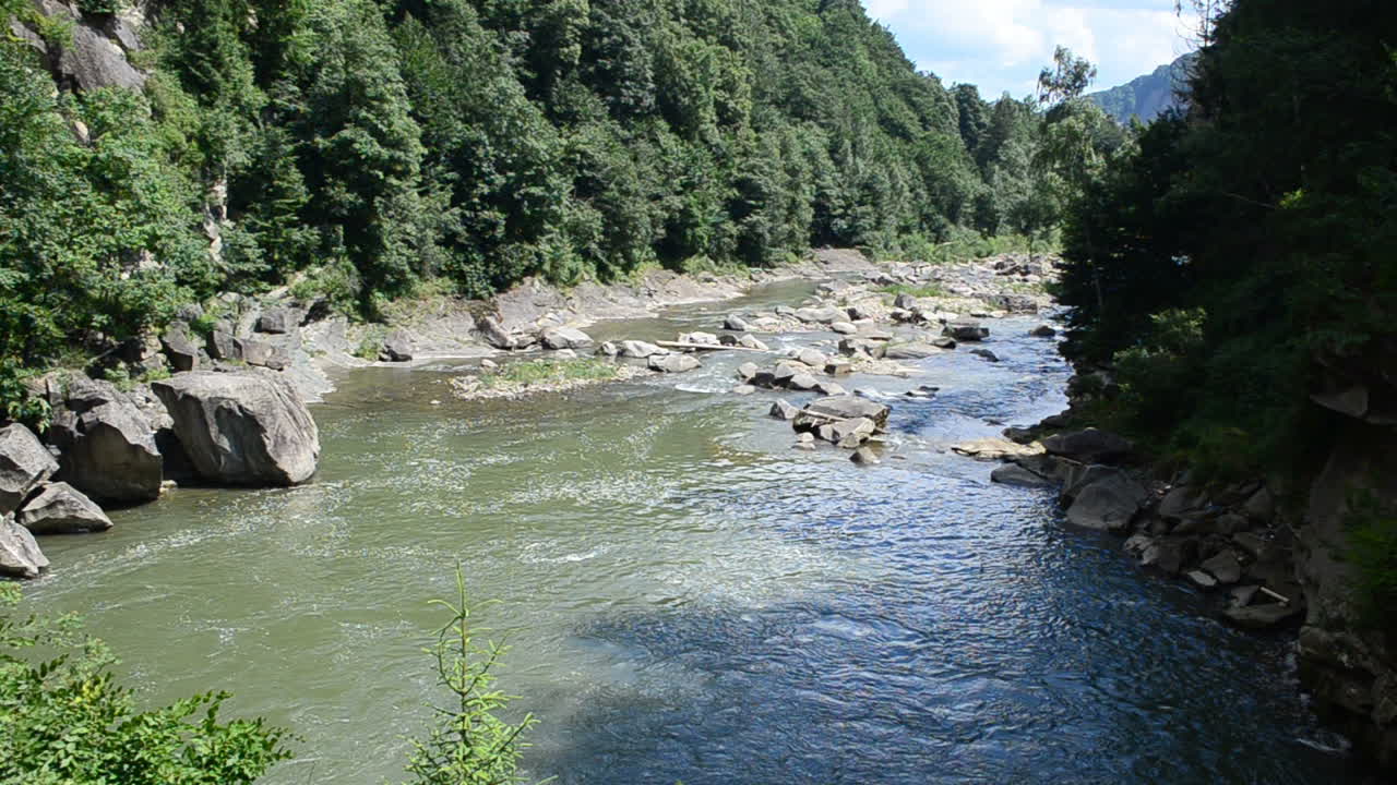 Il fiume tra le montagne e i boschi. Fiume e bosco.