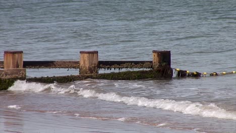 a wooden breakwater on part of a sandy shore at the dorset seaside town in the united kingdom