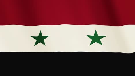 syria flag waving animation. full screen. symbol of the country