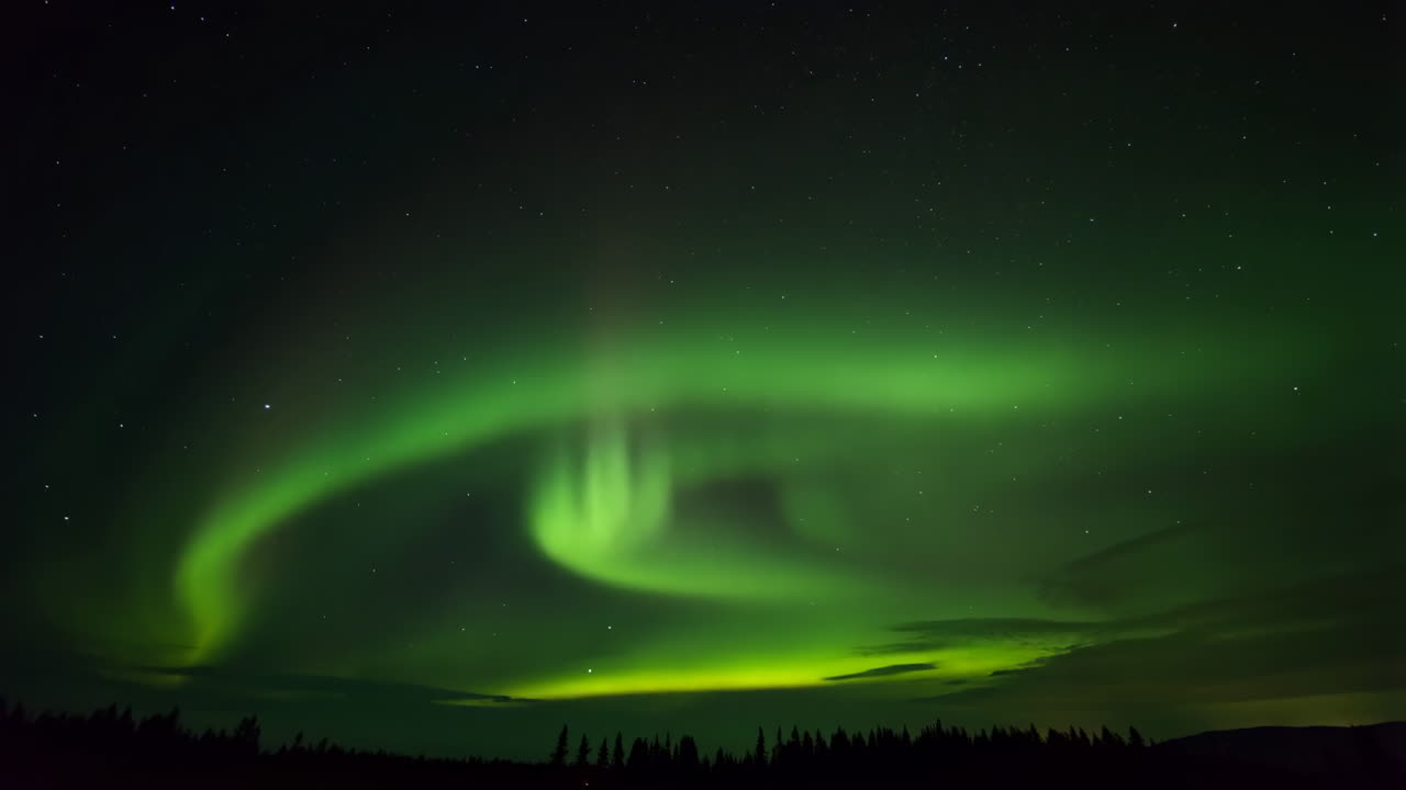 Vibrant Green Aurora Borealis Over a Forest Silhouette at Night