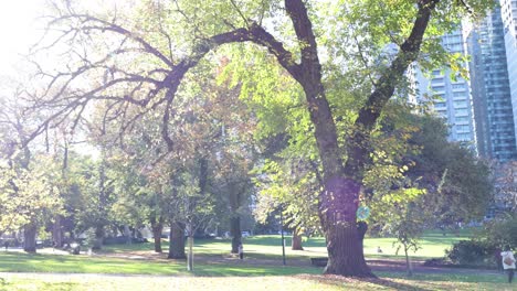 people enjoying a sunny day in park