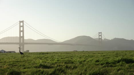 Hermosa-Vista-Panorámica-Del-Puente-Golden-Gate-Y-Un-Campo-De-Hierba-Durante-La-Hora-Dorada