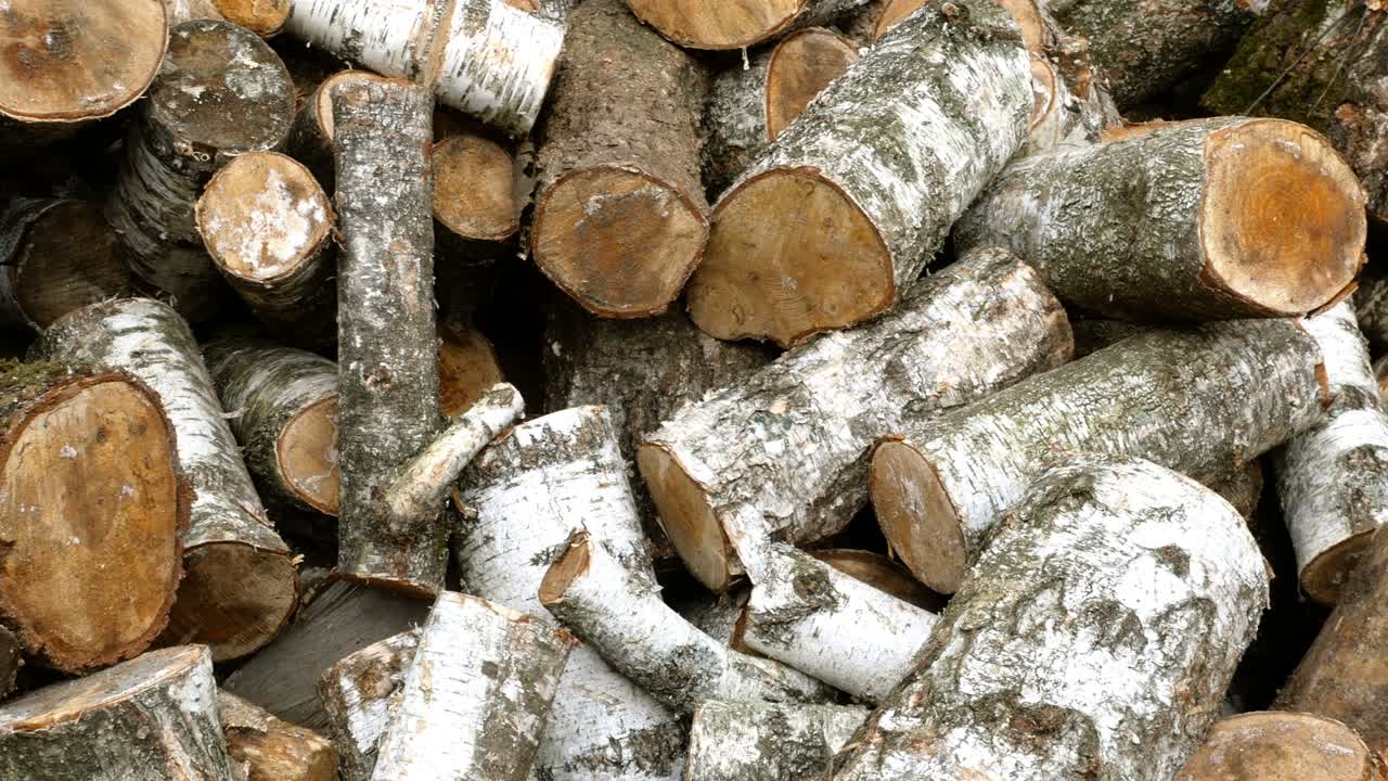 각기 다른 가로편의 잘라진 버드 나무 어리가 뒷마당이나 창고에 쌓여 있습니다.