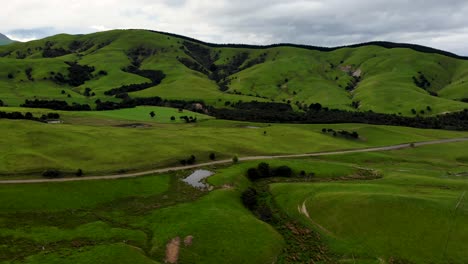 typical north island, new zealand farming area, green hilly pastures for sheep and cows - aerial landscape