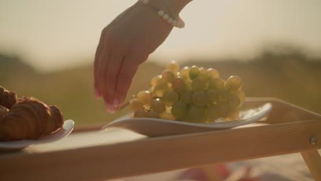 primer plano de una mano dejando caer uvas verdes frescas en un plato bajo la luz solar cálida y natural, el plato se sienta en una mesa de picnic de madera al aire libre, con bocadillos en el otro plato