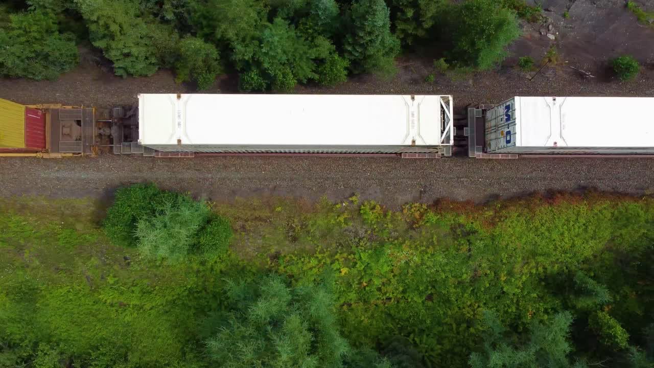 Top down tracking bird's eye view of train locomotive crossing through pine tree forest by pond, aerial ascend