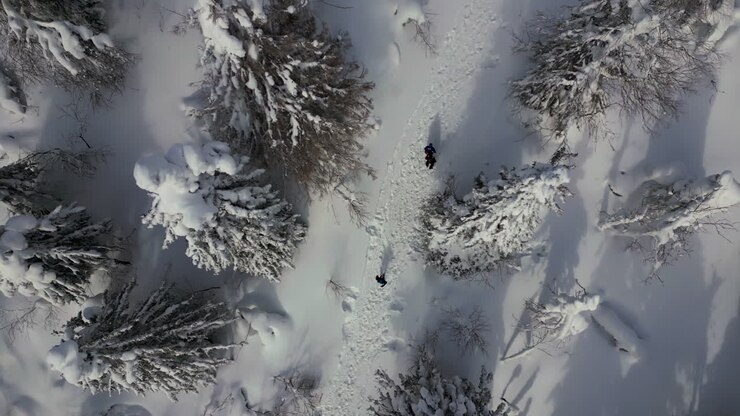 Luftfoto av turgåere i snødekt skog