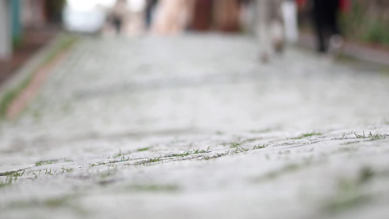 사람들이 고 있는 자갈로 된 거리