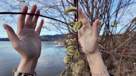 two hands extend towards a branch against a backdrop of water in this video