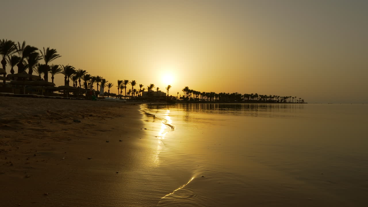 Bellissima alba egiziana con palme in silhouette sulla spiaggia, 60 fps.