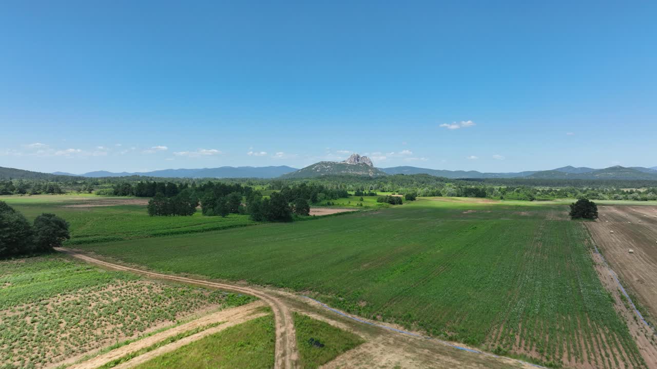 Drone capturing agricultural fields, green crops, and clear blue sky in summer