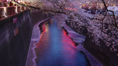 Nachtbeleuchtung-Von-Nakameguro-Sakura-Entlang-Des-Flusses-In-Tokio,-Japan