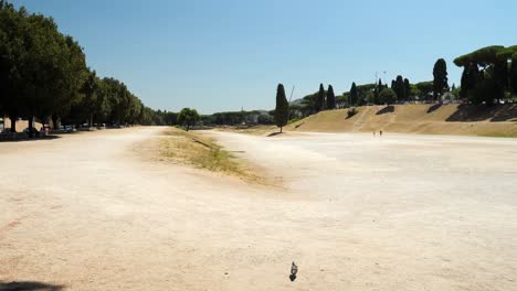 circus maximus in a hot summer day in rome, italy