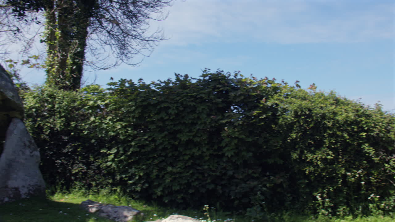 Panning wide shot right to left of the South side of the Carreg Coetan Arthur Chambered Tomb