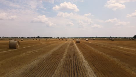 Hayfield-with-round-straw-bales