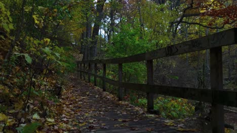 Incline-Hacia-Abajo-Desde-El-Cielo-En-Un-Barranco-De-Bosque-Urbano-Para-Revelar-Un-Sendero-Para-Caminar-Y-Un-Puente-Peatonal-Cubierto-De-Hojas