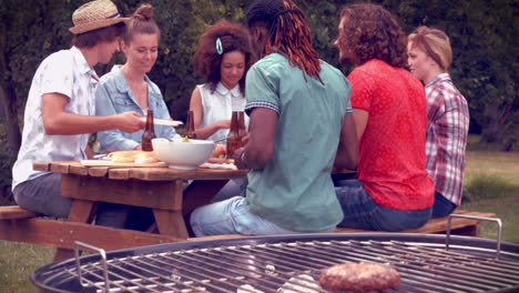 en formato de alta calidad amigos felices en el parque haciendo barbacoa
