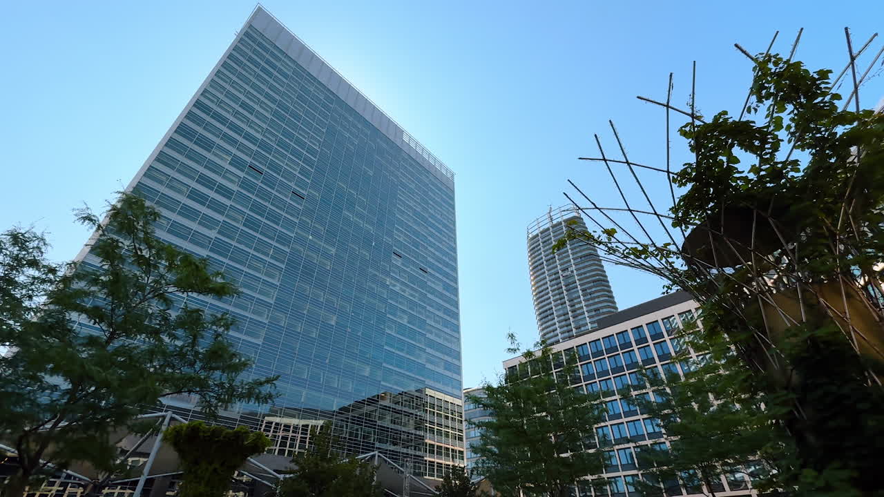 Arborium design in the modern city. Low angle view at the high-rise building of glass and metal