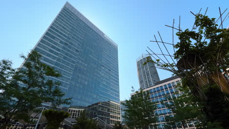 arborium design in the modern city. low angle view at the high-rise building of glass and metal