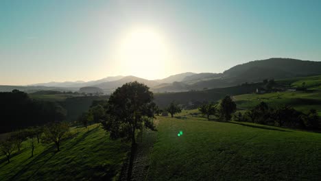 Left-to-right-truck-flight-in-a-beautyful-swiss-landscape-during-sunrise,-while-birds-fly-by