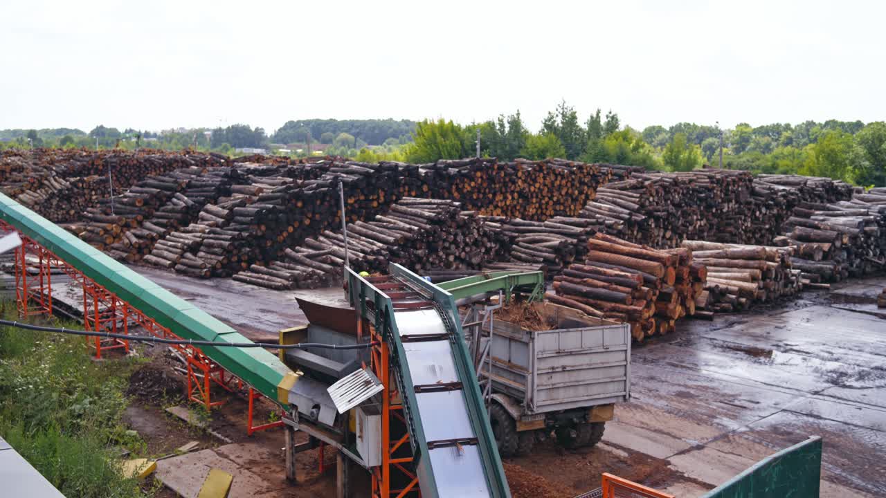 Wood working industry. Stock with logs. Sawmill. Process of machining logs on a conveyor. outdoor video.