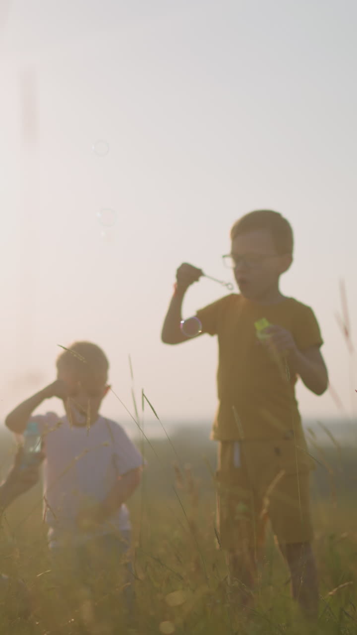 In a warm, sunlit field, a woman sits on the grass while a little boy bends beside her and another boy stands nearby. They joyfully blow bubbles into the air, creating a serene and playful atmosphere