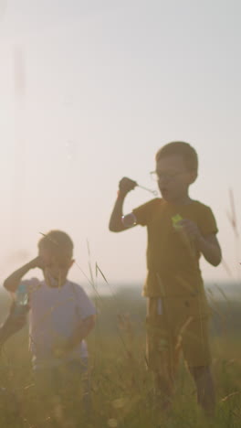 en un campo cálido y soleado, una mujer se sienta en la hierba mientras un niño pequeño se inclina a su lado y otro niño está cerca. ellos soplan con alegría burbujas en el aire, creando una atmósfera serena y lúdica
