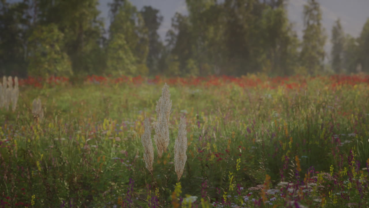 красивое поле цветов на луге