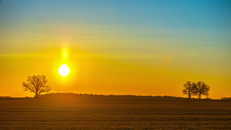 Zeitraffer-Von-Sonnenaufgang-Bis-Morgen-–-Die-Sonne-Geht-über-Dem-Feld-Auf