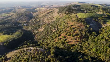 Vista-Aérea-De-Grandes-Campos-De-Cultivo-Verdes-Formando-Patrones.